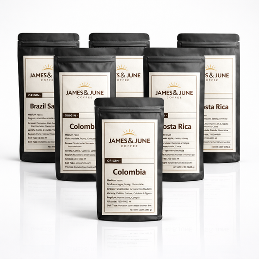 Single Origin Favorites Sample Pack